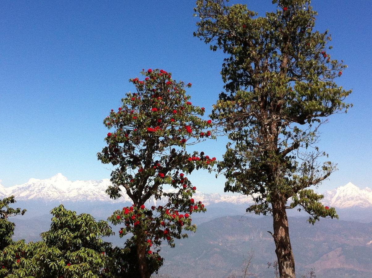 Thikalna Himalayan Retreat Villa Almora Exterior photo